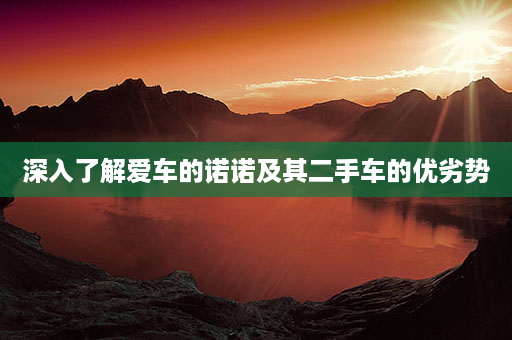 深入了解爱车的诺诺及其二手车的优劣势