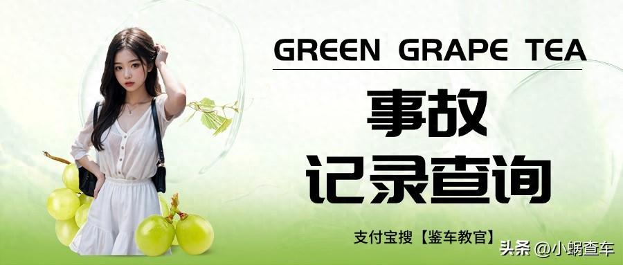 车子事故查询记录怎么查询_车子事故记录查询_车辆事故记录查询
